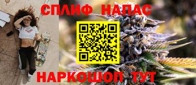a pvp Можга